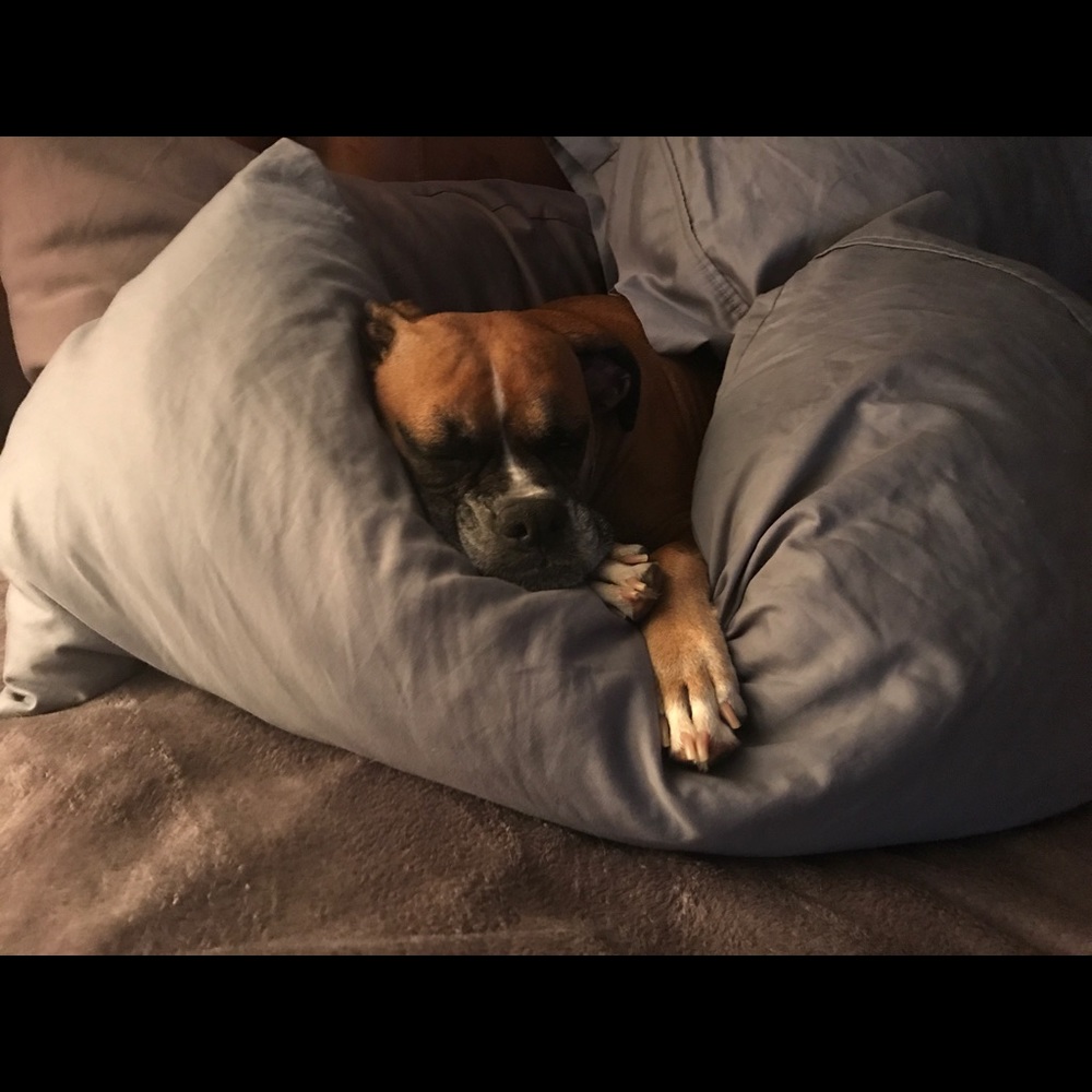 Meet your Posher, Gina